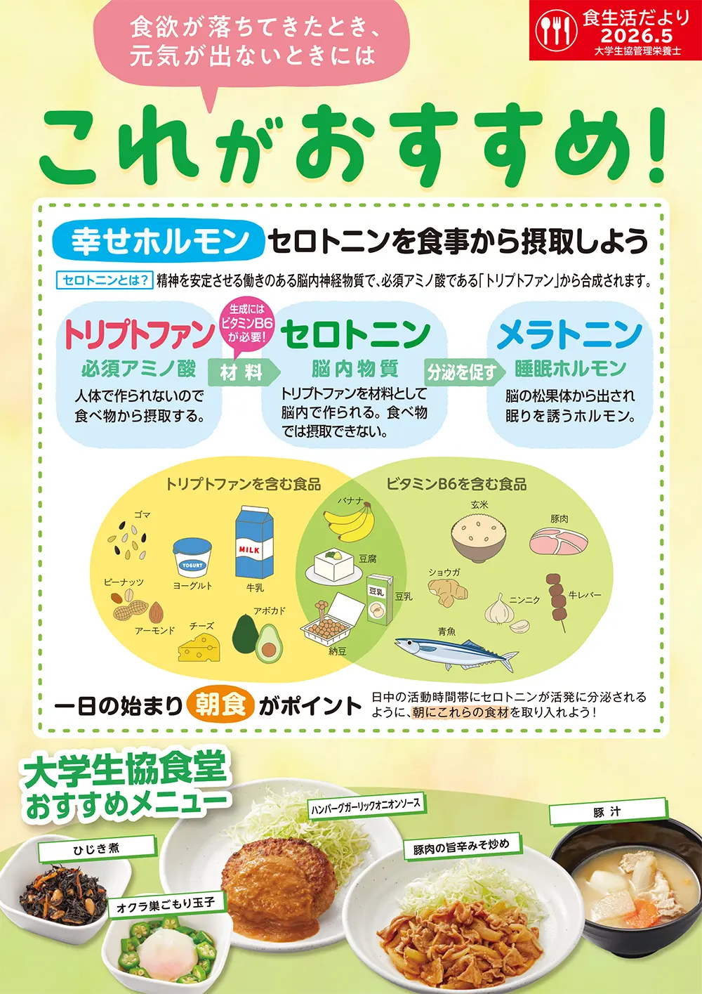 2026年5月の食生活だより